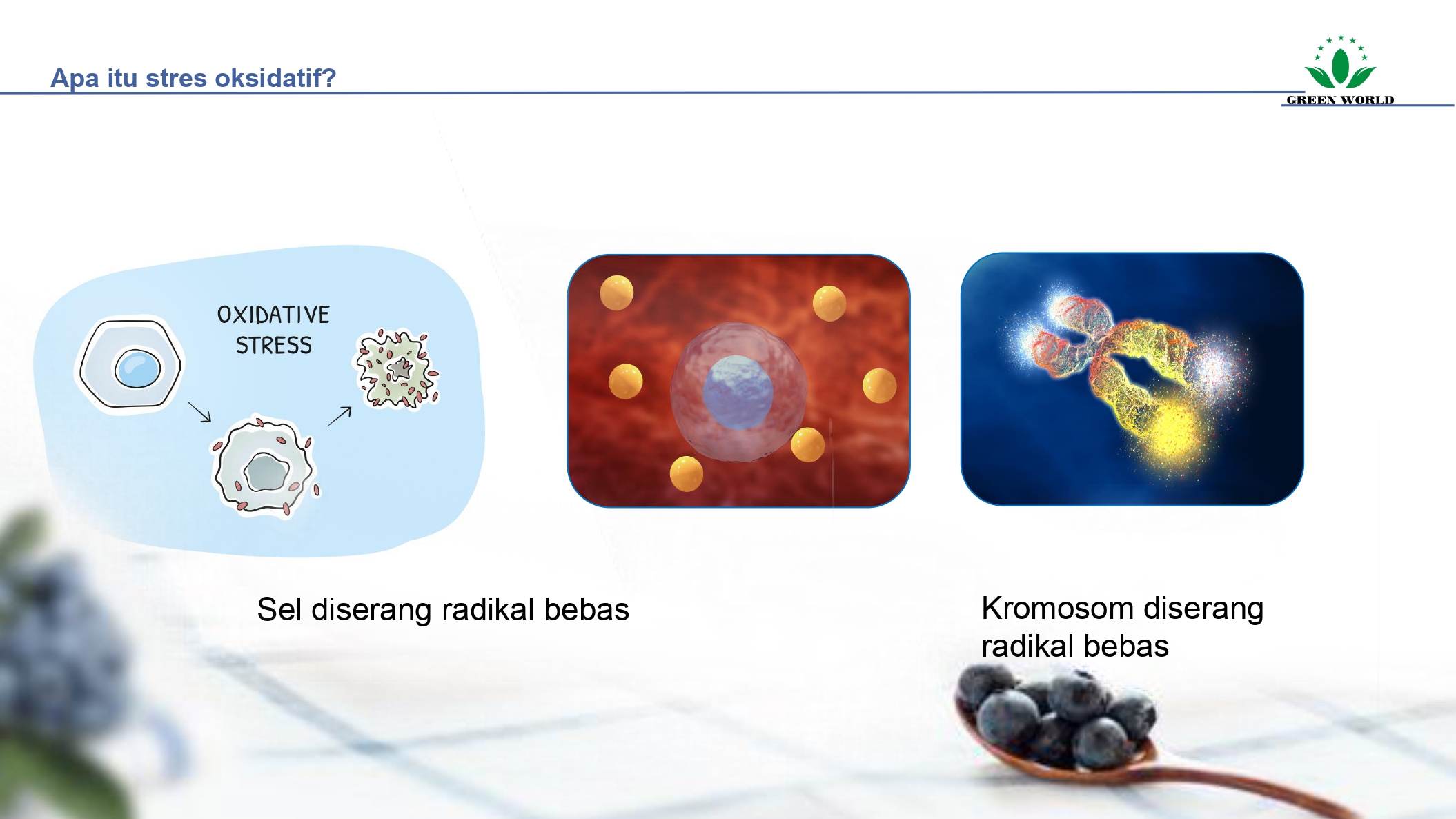 Education content image